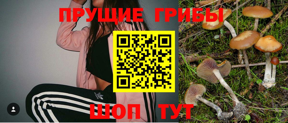 Галлюциногенные грибы Cubensis  Вход с VPN  Муром 