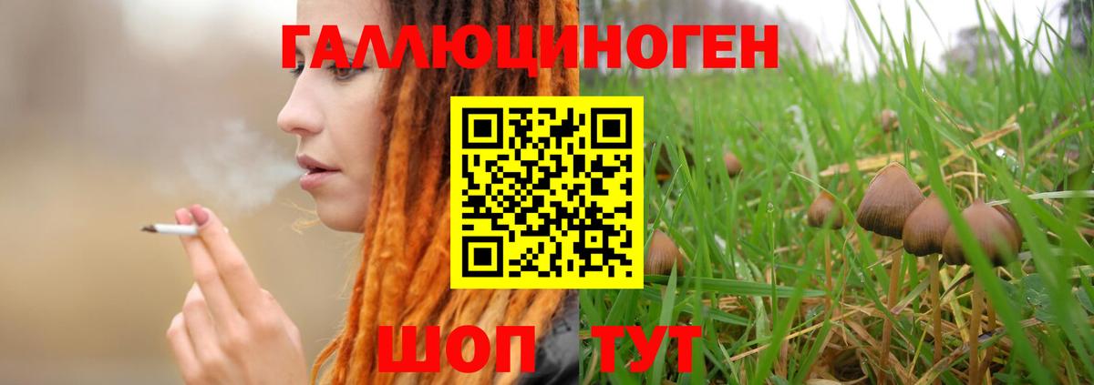 Галлюциногенные грибы ЛСД Муром